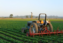 Food and Agriculture Food and Agriculture