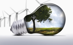 environment