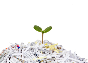 Corporate Social Responsibility and Sustainability