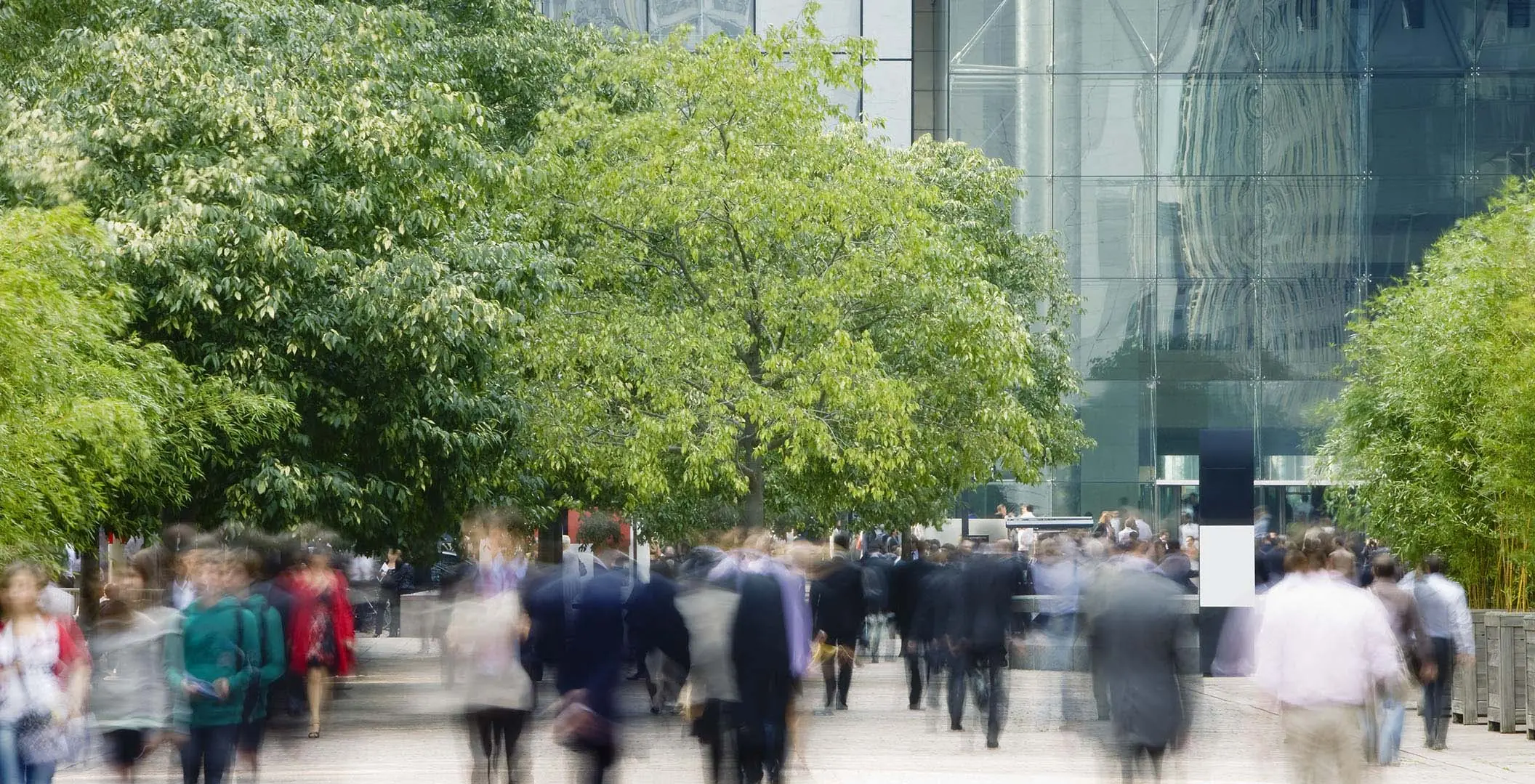 Three Potential SEC Actions on ESG Reporting