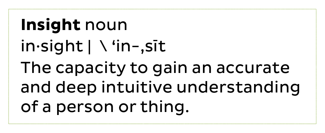 Insight noun
in·sight |  \ ‘in-,sīt
The capacity to gain an accurate and deep intuitive understanding of a person or thing.